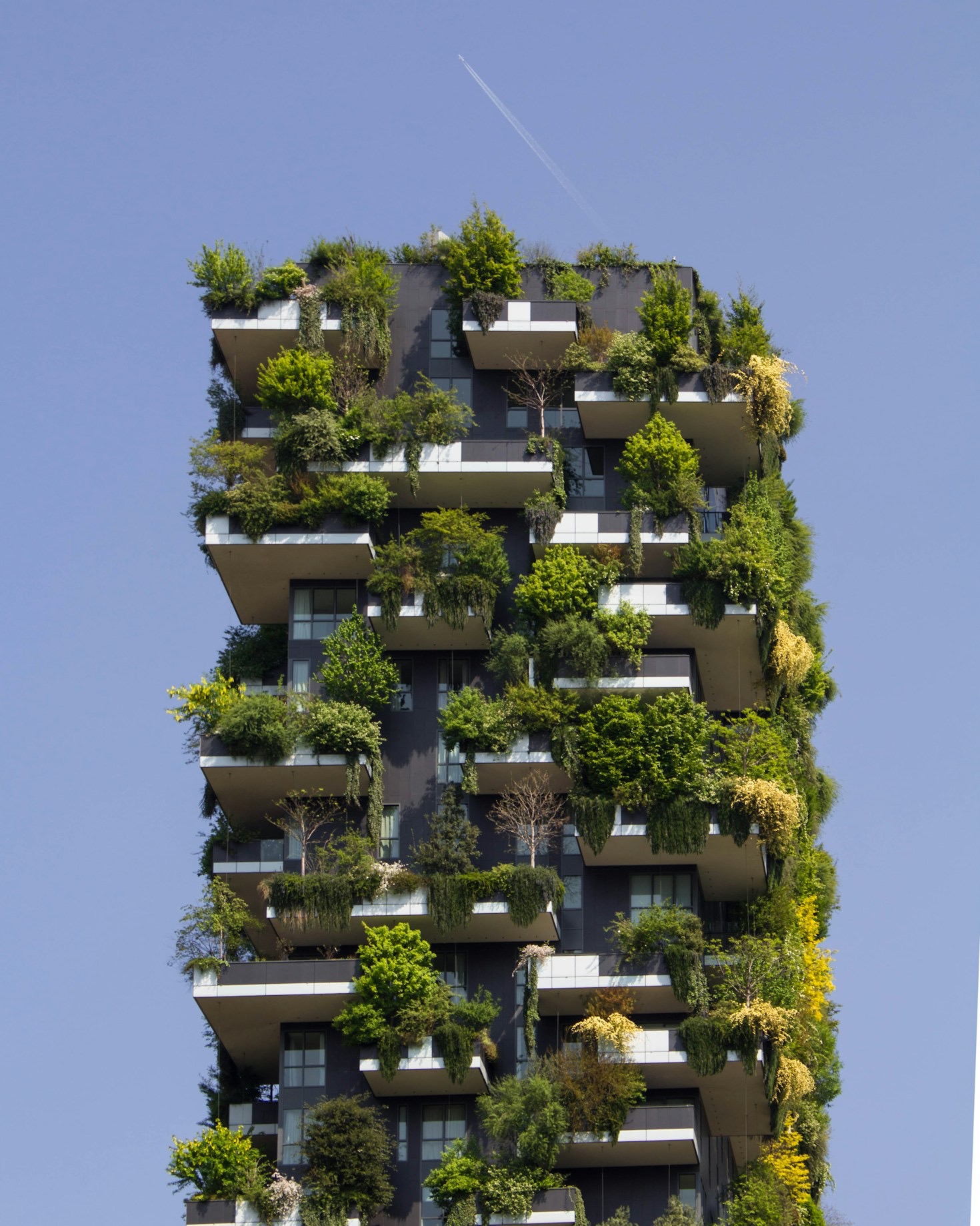 The Role of Nature in Modern Economies