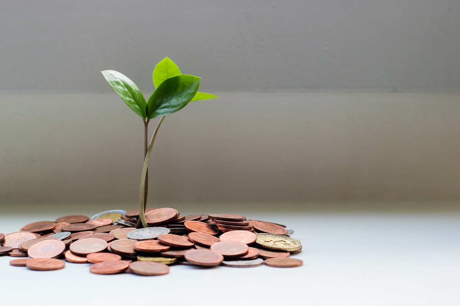 Rethinking Growth: Economics Meets Ecology