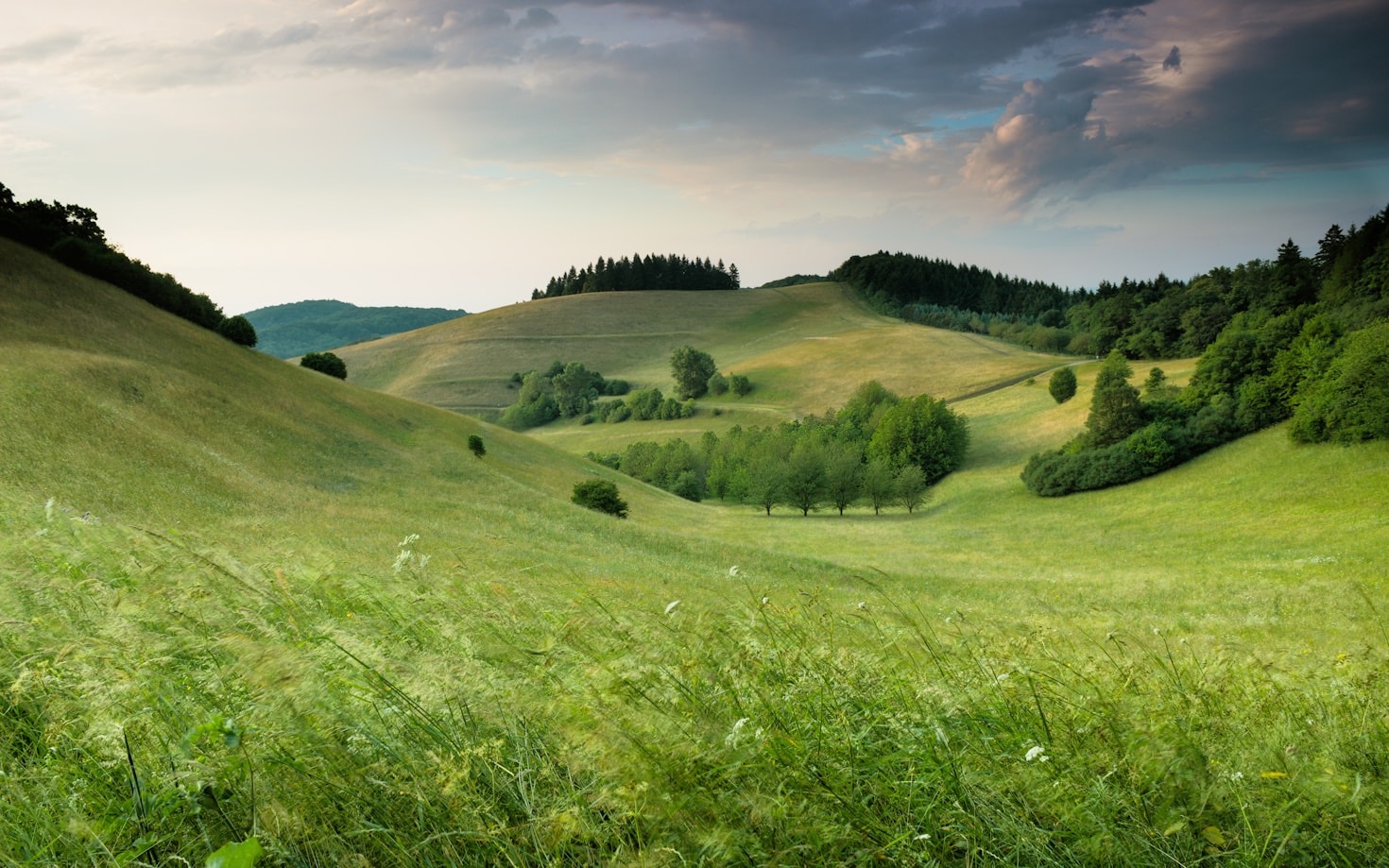 Creating a Future with Ecological Economics
