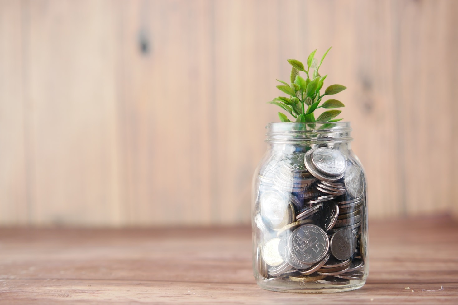 Economic Practices Through an Ecological Lens